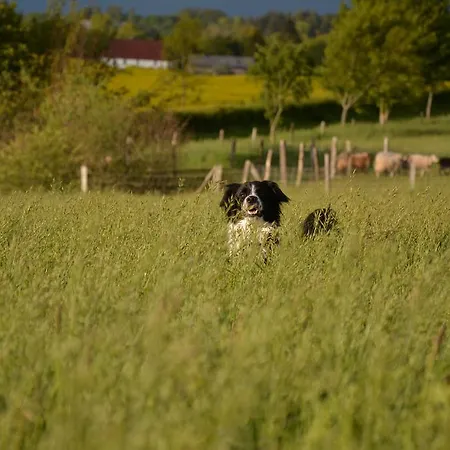 Prázdninový dům Kleine *