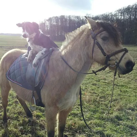 Prázdninový dům Kleine *